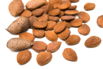 Mandorle fresche su fondo bianco