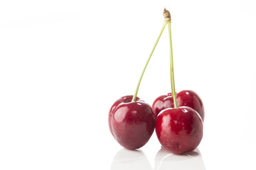 Fresh Cherry Closeup on Bright Background