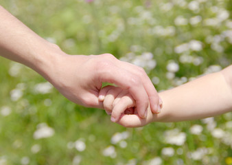 Hands of mother and daughter