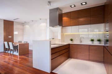 Modern kitchen in wood
