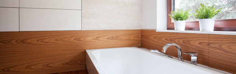 Elegant stylish bathtub