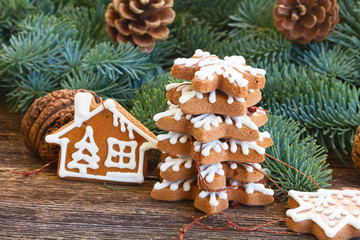 christmas gingerbread cookies