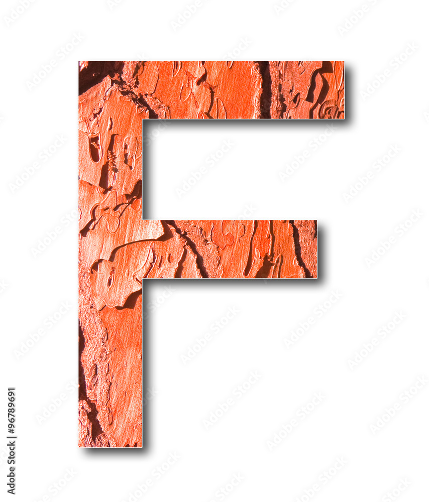 Wall mural letters f with red toned pine bark in background - useful for natural themes