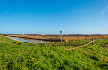 Fototapeta na wymiar Shore of a canal through a field in autumn