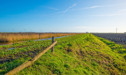 Shore of a canal through a field in autumn