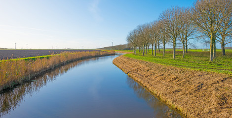 Shore of a canal through a field in autumn