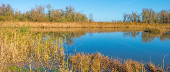 The shore of a sunny lake in autumn