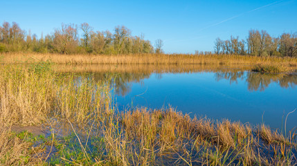 The shore of a sunny lake in autumn