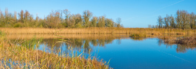 The shore of a sunny lake in autumn