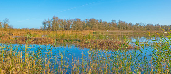 The shore of a sunny lake in autumn