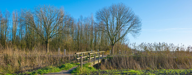 Wooden bridge in nature in autumn