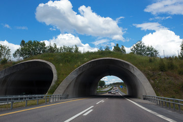 tunnel on a road