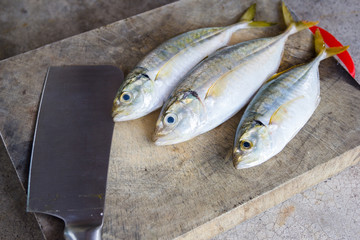 prepare for dissected yellowstripe scad