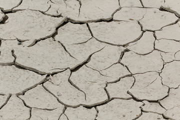 Dryness, dry ground in Corsica, France, Europe (Climate change, global warning)