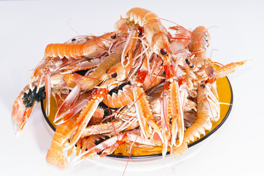Plato de cigalas.