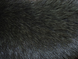 зелёный мех