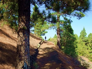 La Palma, Kanarische Inseln, Vulkanroute