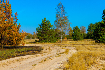 Golden Autumn in Ukraine