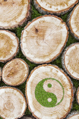 Tree stumps on the grass with ying yang symbol.