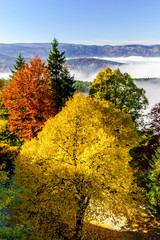 Great overcast over Alsace. View from top of the mountain.