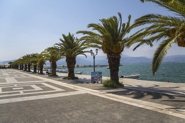 Fototapeta premium Palm trees on port of Nafplio, Greece