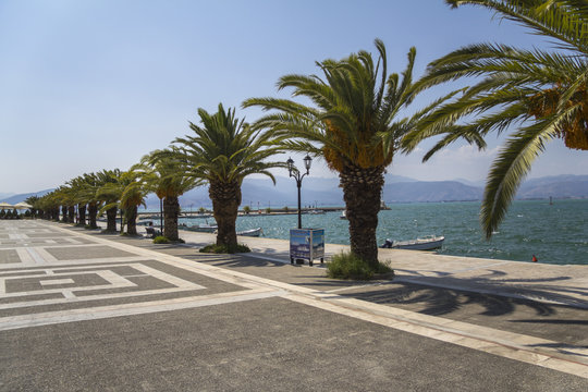 Palm trees on port of Nafplio, Greece