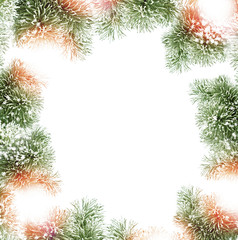 Winter Forest. Winter landscape.