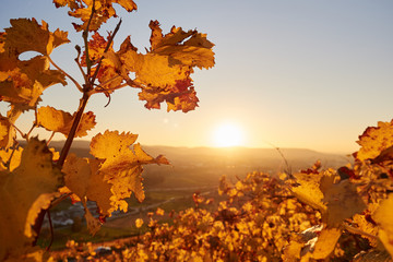 Herbstlicher Sonnenuntergang im Remstal