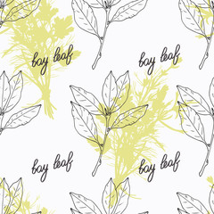 Hand drawn bay leaf branch and handwritten sign. Spicy herbs seamless pattern. Doodle kitchen background - 96801846