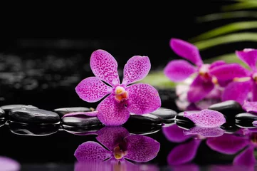 Gordijnen Mooie roze orchidee met groene plant en therapiestenen © Mee Ting
