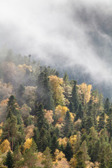 Autumn day in the mountains