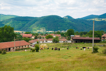 Fototapeta na wymiar Beautiful rural views of houses and cows in the mountains