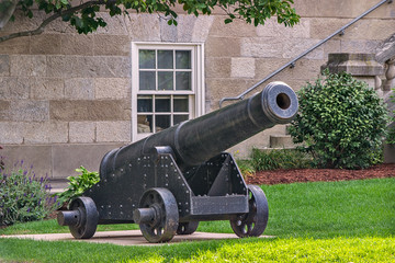 cannon