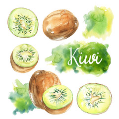 Hand drawn watercolor painting fresh kiwi
