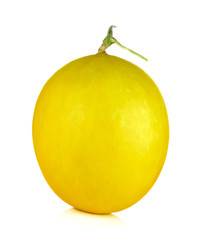 Yellow cantaloupe isolated on the white background