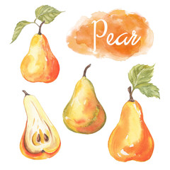 Hand drawn watercolor painting fresh pear