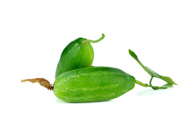 colorful fruits of Ivy Gourd or Coccinia grandis