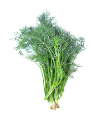 Fresh Dill isolated on white background