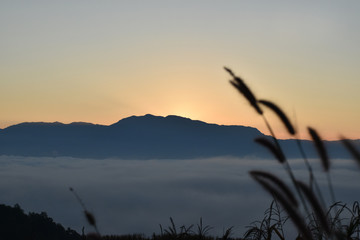Fog and sunrise on the top of Maejam,Chiangmai,Thailand.