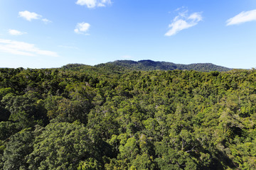 Fototapeta na wymiar Aerial view of the primeval forest