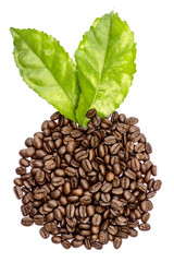 Roasted coffee beans.