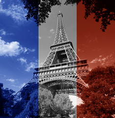 Paris Eiffel Tower french flag