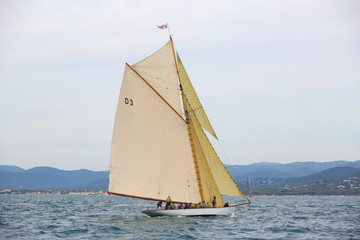Fototapeta premium les voiles de saint tropez