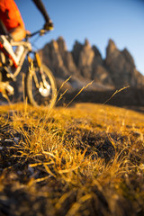 creative picture - biker nature