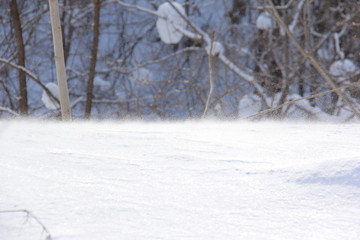 雪原の地吹雪