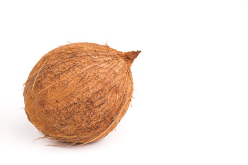 Whole coconut, isolated