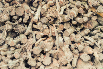 background and texture of old cutting wood