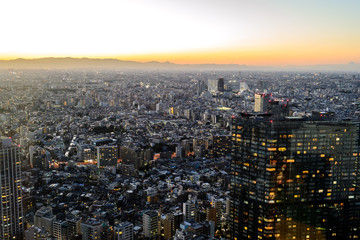 Tokyo Cityscape in sunset