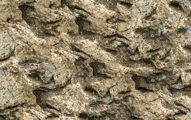 Texture of stone