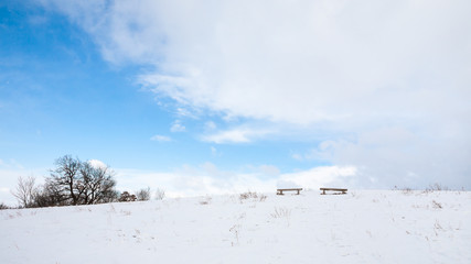 Bench in white landscape